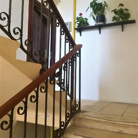 Noemi * פולה